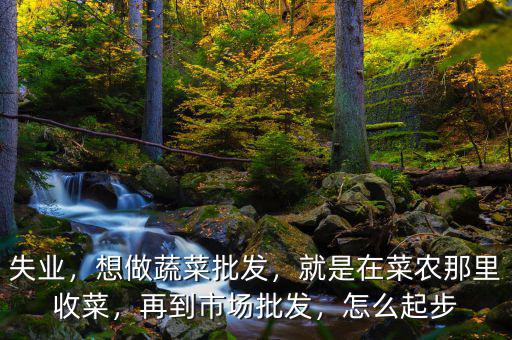 失業(yè)，想做蔬菜批發(fā)，就是在菜農(nóng)那里收菜，再到市場(chǎng)批發(fā)，怎么起步