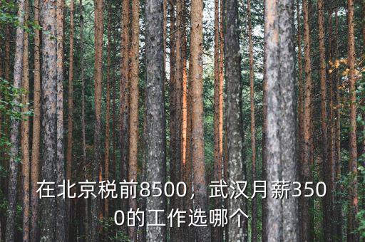 在北京稅前8500，武漢月薪3500的工作選哪個(gè)
