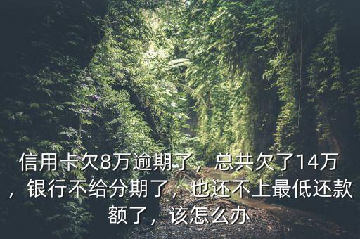 信用卡欠8萬(wàn)逾期了，總共欠了14萬(wàn)，銀行不給分期了，也還不上最低還款額了，該怎么辦