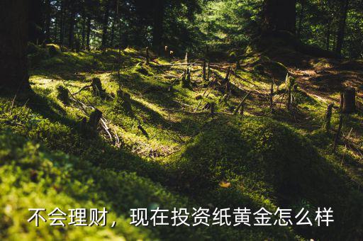 不會(huì)理財(cái)，現(xiàn)在投資紙黃金怎么樣