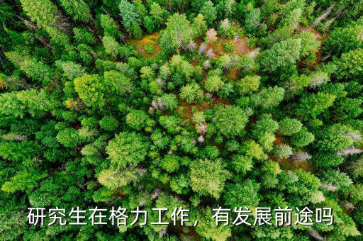 研究生在格力工作，有發(fā)展前途嗎