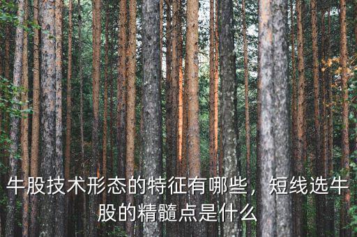 牛股技術(shù)形態(tài)的特征有哪些，短線選牛股的精髓點(diǎn)是什么