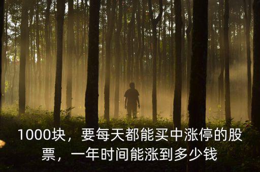 1000塊，要每天都能買中漲停的股票，一年時(shí)間能漲到多少錢