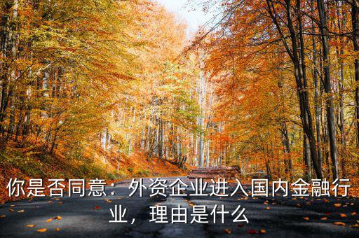 你是否同意：外資企業(yè)進(jìn)入國內(nèi)金融行業(yè)，理由是什么