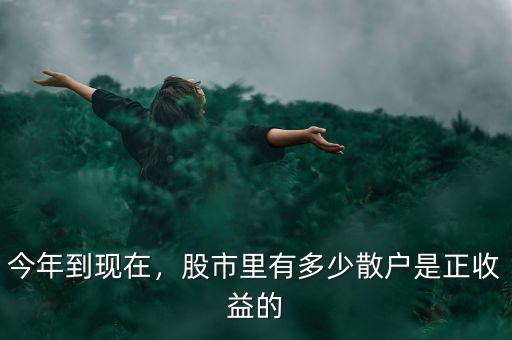 今年到現(xiàn)在，股市里有多少散戶是正收益的