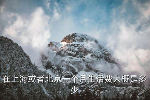 在上?；蛘弑本┮粋€(gè)月生活費(fèi)大概是多少