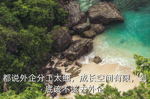 都說外企分工太細，成長空間有限，到底該不該去外企