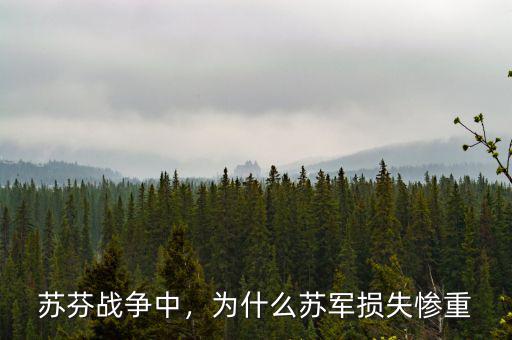 蘇芬戰(zhàn)爭(zhēng)中，為什么蘇軍損失慘重