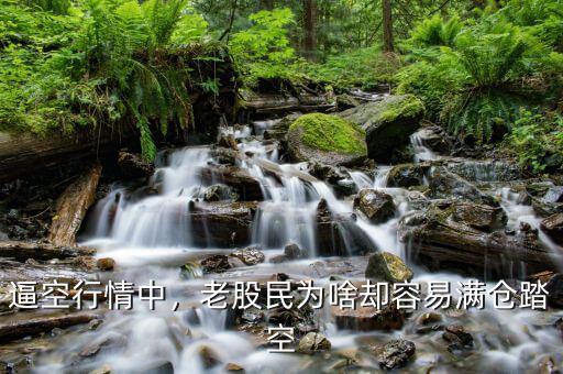 逼空行情中，老股民為啥卻容易滿倉(cāng)踏空