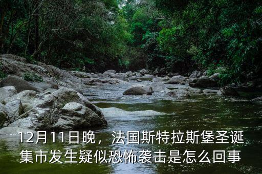 12月11日晚，法國斯特拉斯堡圣誕集市發(fā)生疑似恐怖襲擊是怎么回事