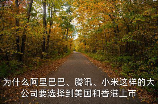 為什么阿里巴巴、騰訊、小米這樣的大公司要選擇到美國和香港上市