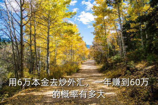 用6萬本金去炒外匯，一年賺到60萬的概率有多大