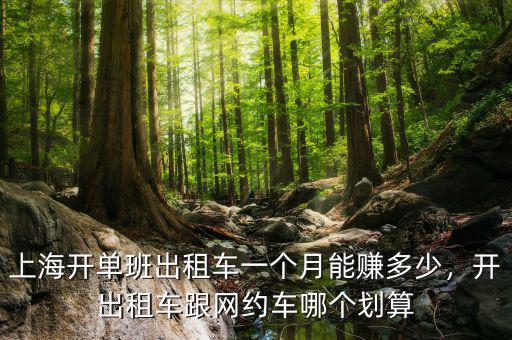 上海開單班出租車一個月能賺多少，開出租車跟網約車哪個劃算