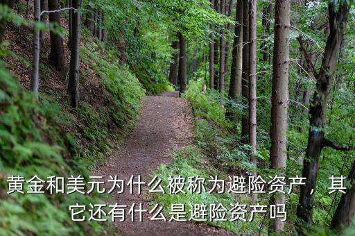 黃金和美元為什么被稱為避險資產(chǎn)，其它還有什么是避險資產(chǎn)嗎