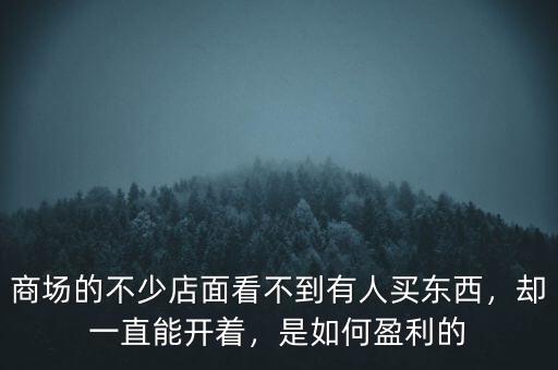 商場(chǎng)的不少店面看不到有人買(mǎi)東西，卻一直能開(kāi)著，是如何盈利的