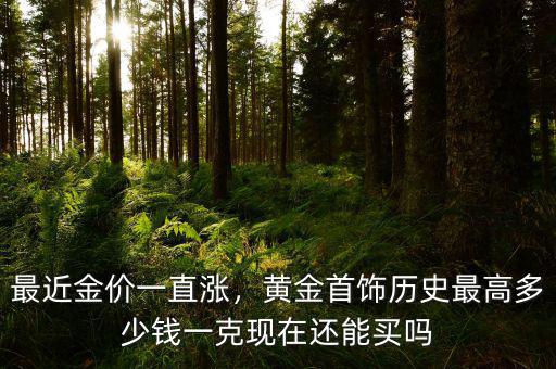 最近金價一直漲，黃金首飾歷史最高多少錢一克現在還能買嗎