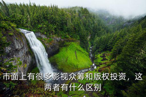 市面上有很多影視眾籌和版權投資，這兩者有什么區(qū)別