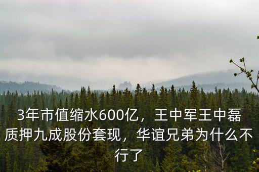 3年市值縮水600億，王中軍王中磊質(zhì)押九成股份套現(xiàn)，華誼兄弟為什么不行了