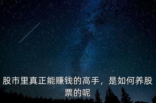 股市里真正能賺錢的高手，是如何養(yǎng)股票的呢