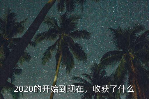 2020的開(kāi)始到現(xiàn)在，收獲了什么