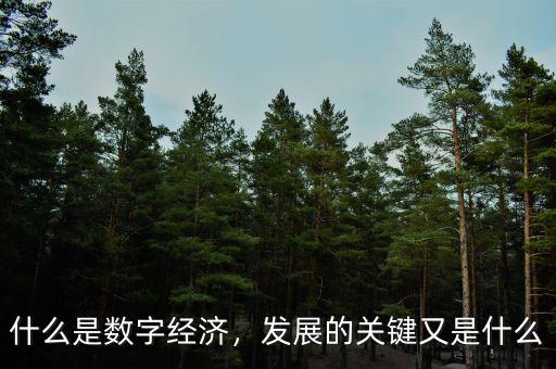什么是數(shù)字經(jīng)濟，發(fā)展的關(guān)鍵又是什么