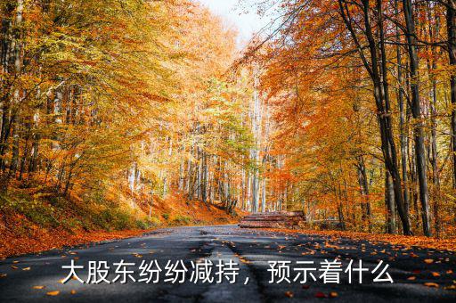 大股東紛紛減持，預(yù)示著什么