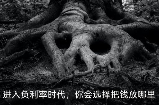進(jìn)入負(fù)利率時代，你會選擇把錢放哪里
