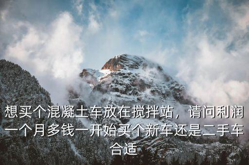 想買個(gè)混凝土車放在攪拌站，請(qǐng)問利潤(rùn)一個(gè)月多錢一開始買個(gè)新車還是二手車合適