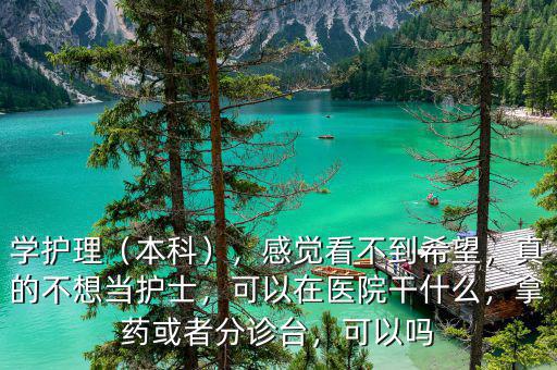 學(xué)護(hù)理（本科），感覺看不到希望，真的不想當(dāng)護(hù)士，可以在醫(yī)院干什么，拿藥或者分診臺，可以嗎