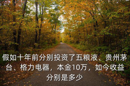 假如十年前分別投資了五糧液、貴州茅臺(tái)、格力電器，本金10萬(wàn)，如今收益分別是多少