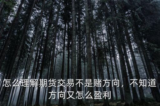 怎么理解期貨交易不是賭方向，不知道方向又怎么盈利