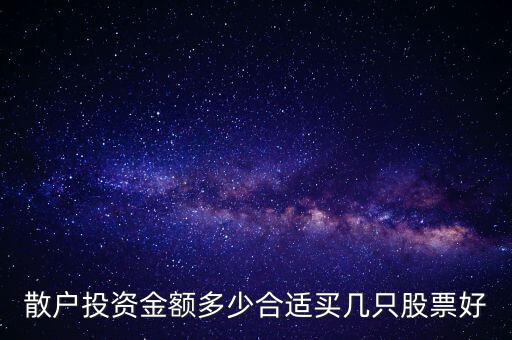 散戶投資金額多少合適買(mǎi)幾只股票好