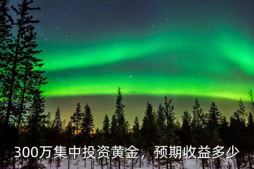 300萬集中投資黃金，預(yù)期收益多少