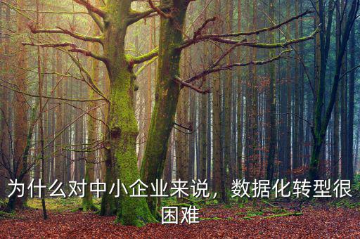 為什么對(duì)中小企業(yè)來說，數(shù)據(jù)化轉(zhuǎn)型很困難