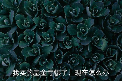 我買(mǎi)的基金虧慘了，現(xiàn)在怎么辦