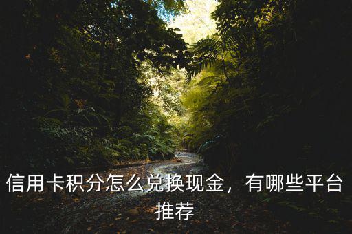 信用卡積分怎么兌換現(xiàn)金，有哪些平臺推薦