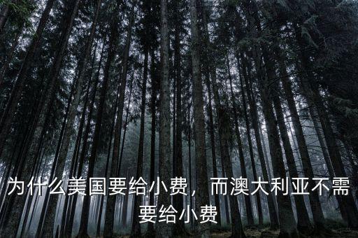 為什么美國要給小費(fèi)，而澳大利亞不需要給小費(fèi)