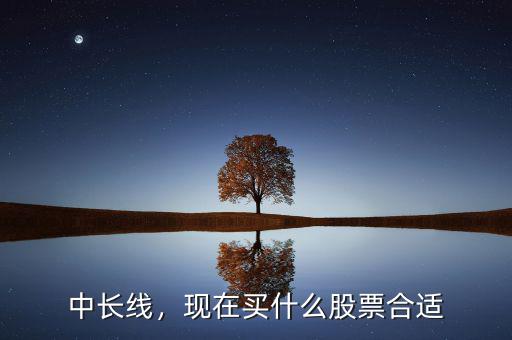 中長(zhǎng)線，現(xiàn)在買(mǎi)什么股票合適