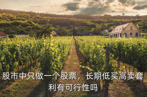 股市中只做一個股票，長期低買高賣套利有可行性嗎