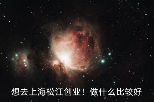 想去上海松江創(chuàng)業(yè)！做什么比較好