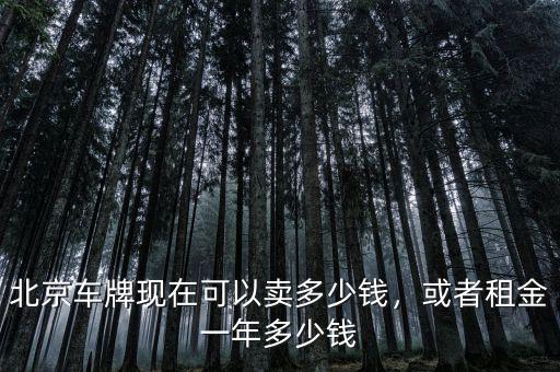 北京車牌現(xiàn)在可以賣多少錢，或者租金一年多少錢