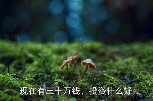 現(xiàn)在有三十萬(wàn)錢，投資什么好