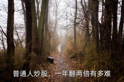 普通人炒股，一年翻兩倍有多難