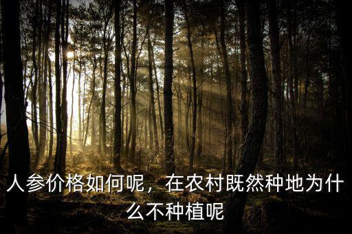 人參價格如何呢，在農(nóng)村既然種地為什么不種植呢