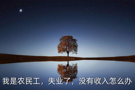 我是農(nóng)民工，失業(yè)了，沒有收入怎么辦