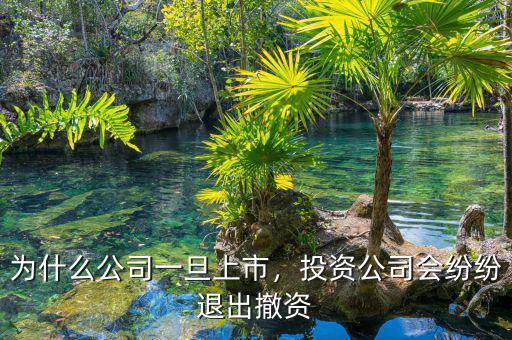 為什么公司一旦上市，投資公司會紛紛退出撤資