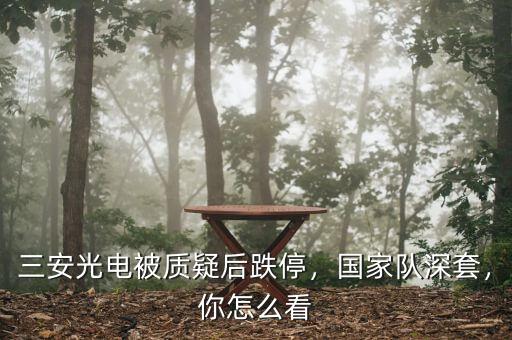 三安光電被質(zhì)疑后跌停，國家隊(duì)深套，你怎么看
