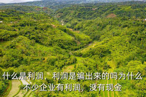 什么是利潤(rùn)，利潤(rùn)是編出來(lái)的嗎為什么不少企業(yè)有利潤(rùn)，沒(méi)有現(xiàn)金