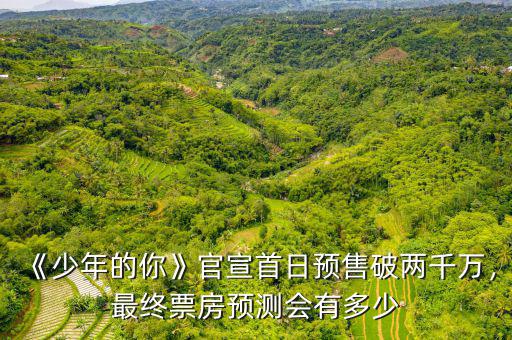 《少年的你》官宣首日預(yù)售破兩千萬，最終票房預(yù)測會有多少