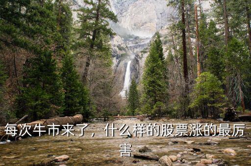 每次牛市來(lái)了，什么樣的股票漲的最厲害